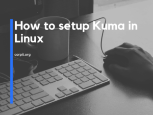 How to setup Kuma in Linux