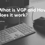 What is VGP and How does it work