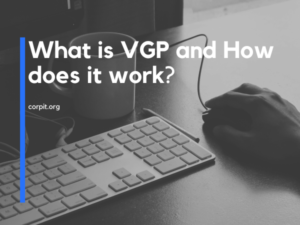 What is VGP and How does it work