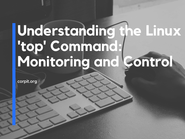 Understanding the Linux 'top' Command