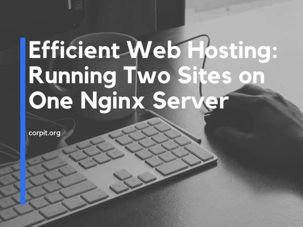 Efficient Web Hosting- Running Two Sites on One Nginx Server