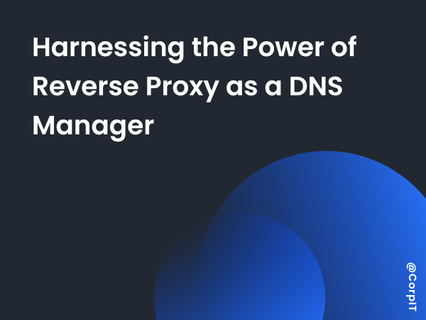 Harnessing the Power of Reverse Proxy as a DNS Manager