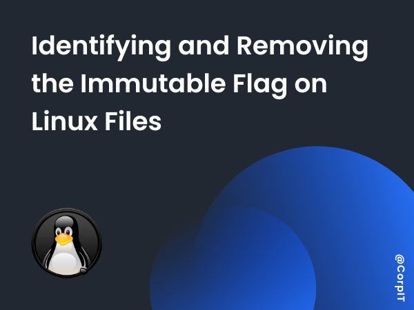 Identifying and Removing the Immutable Flag on Linux Files